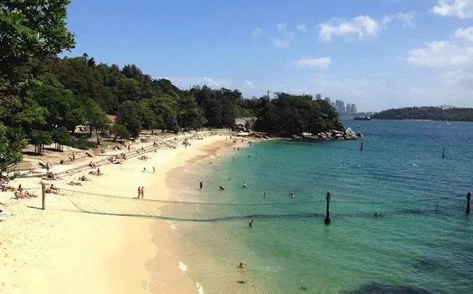 shark-beach sydney pic