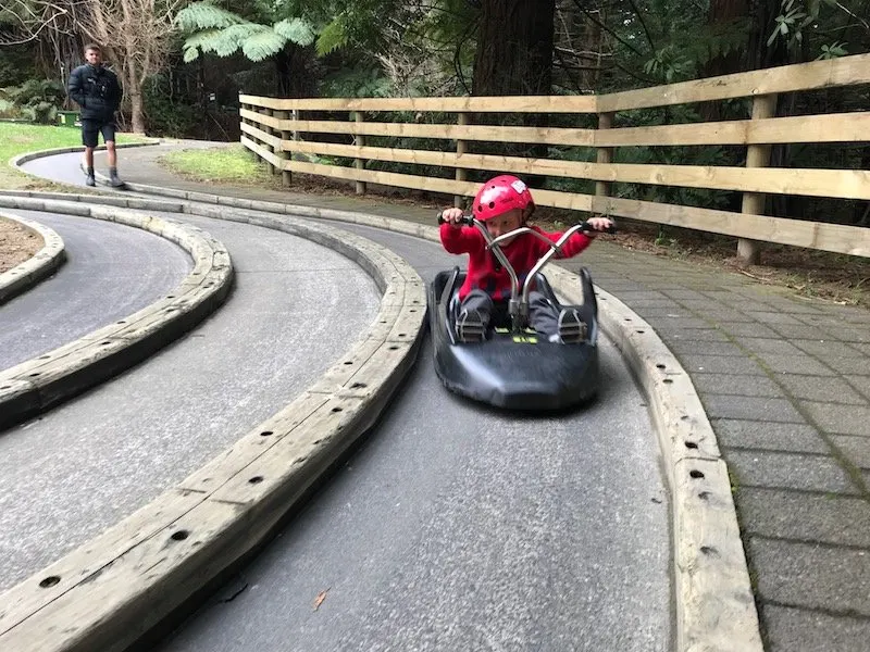 new zealand travel blog - rotorua luge pic