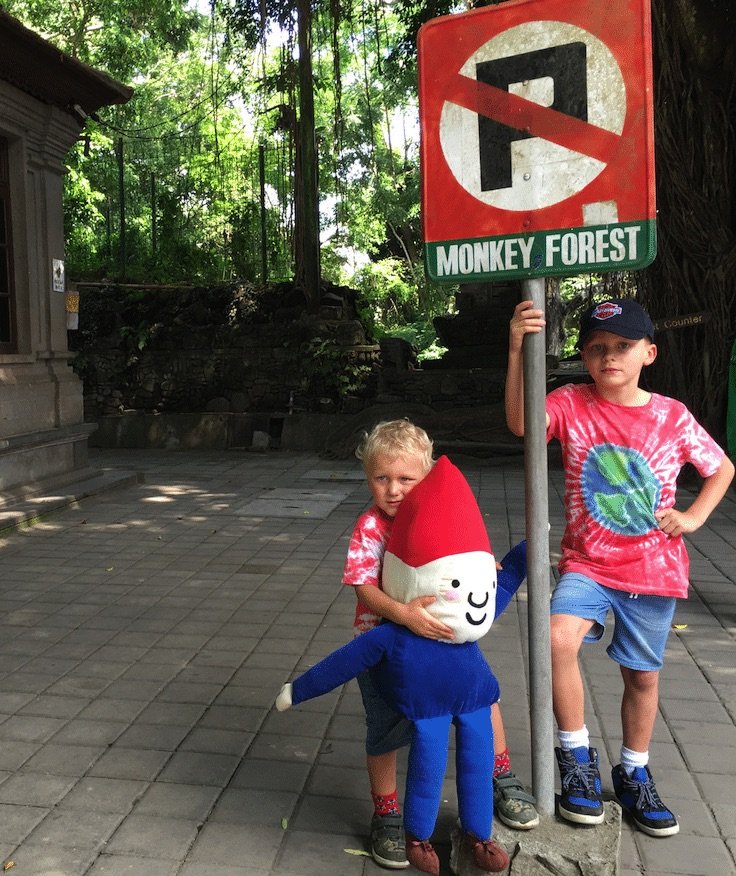 Bushman-insect-repellent-monkey-forest