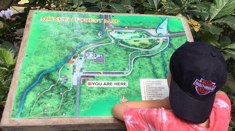 bali-monkey-forest-map-with-ned-pic-800