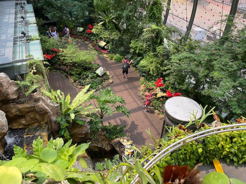 butterfly garden changi airport singapore grotto pic 800