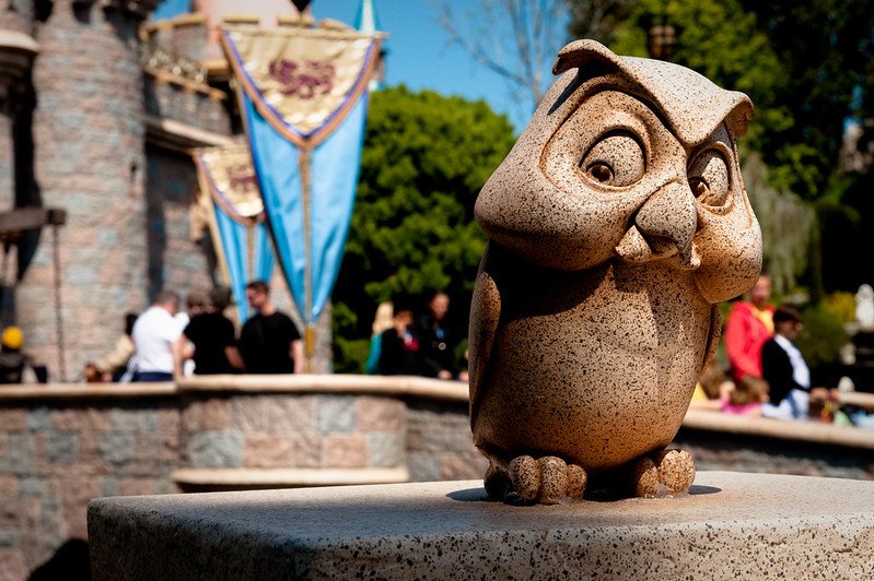 disneyland owl by josh hallett 