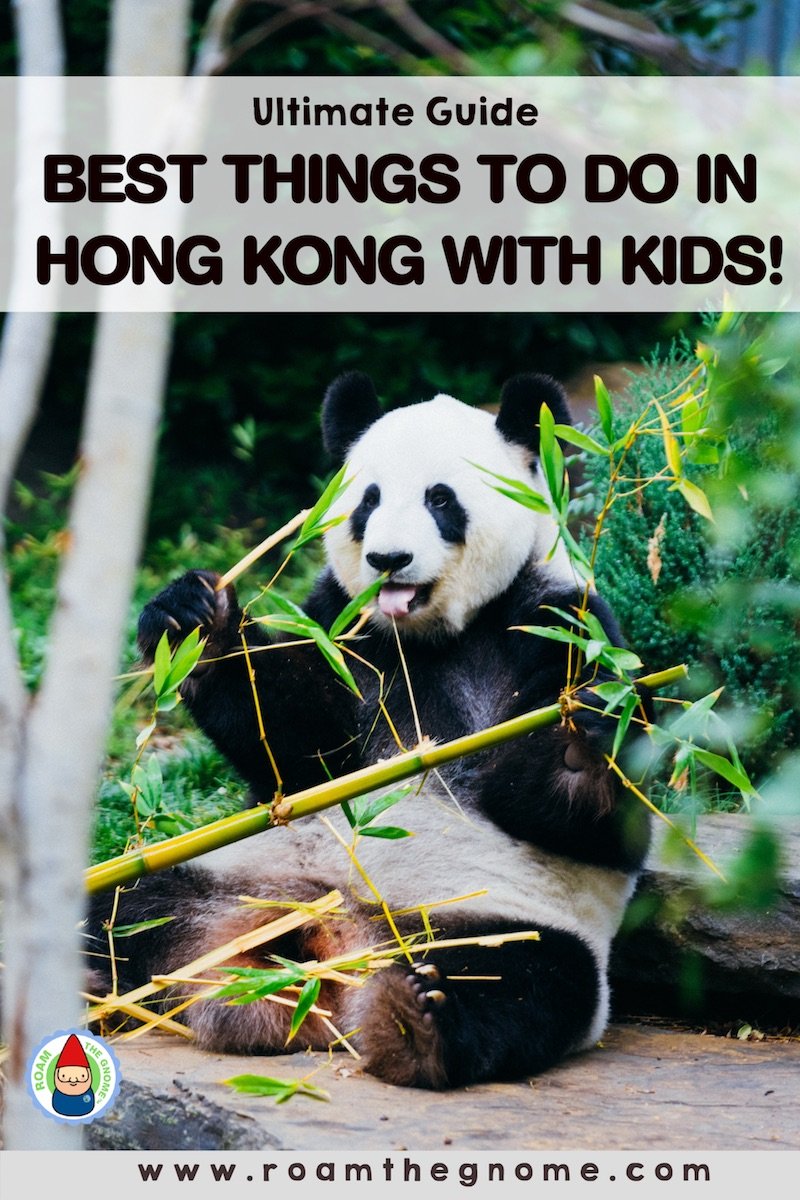 PIN best things to do in hong kong with kids 800