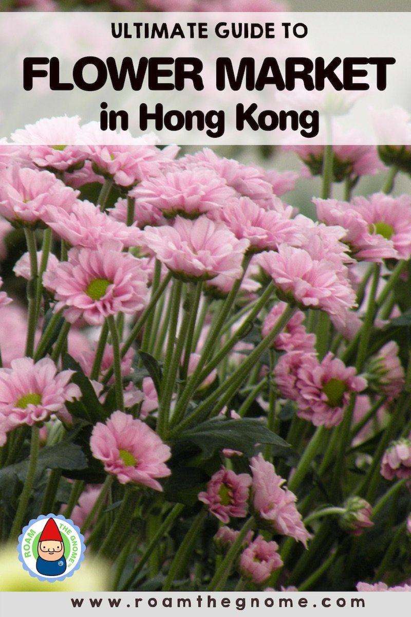 PIN flower market hong kong 800