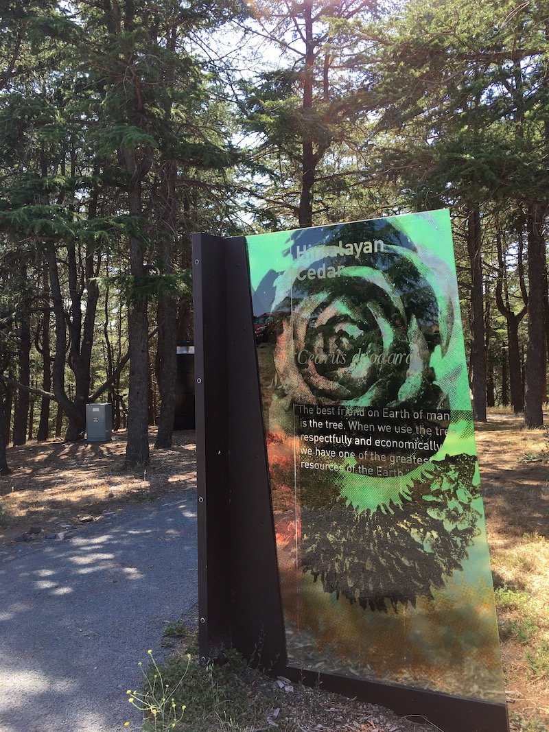 arboretum canberra nature play forest sign pic