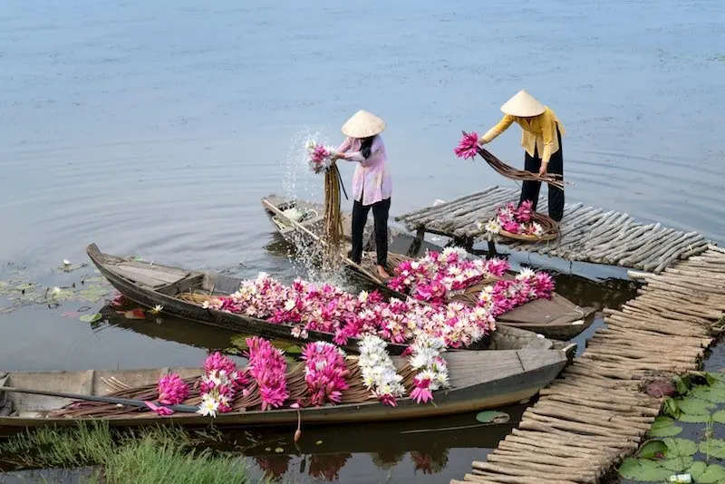 best hats to collect by quang nguyen vinh pexels