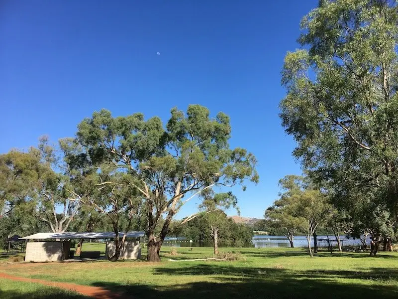 black mountain peninsula playground in canberra grounds pic