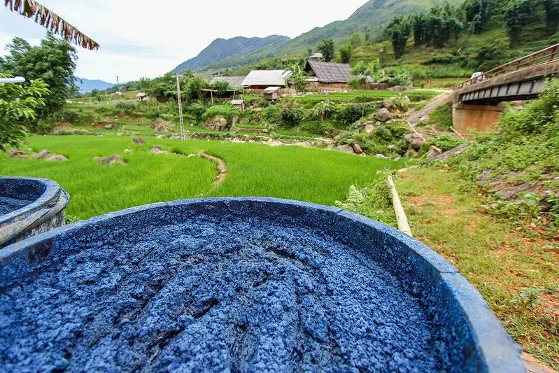 blue indigo dye by the h'mong people by rory macleod