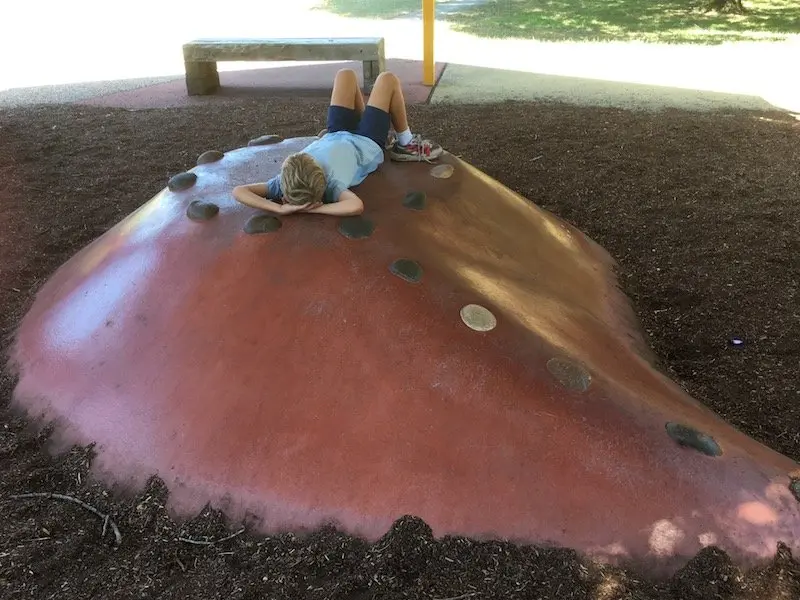 fadden pines playground canberra artwork pic