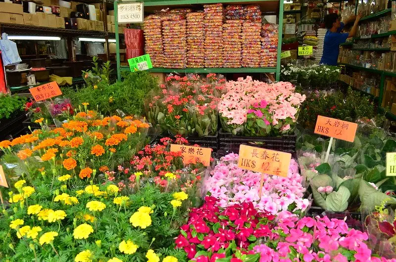 flower market in hong kong pic by carmen artigas martinez
