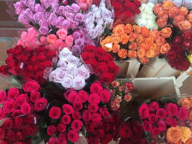 image - hong kong flower market blooms