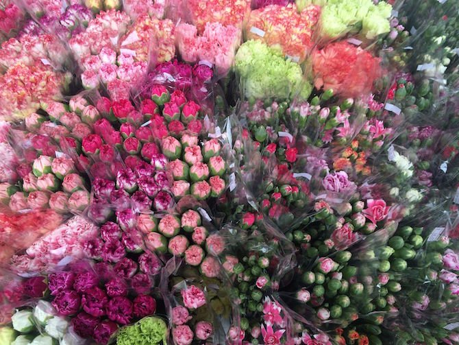 image - hong kong flower market for sale