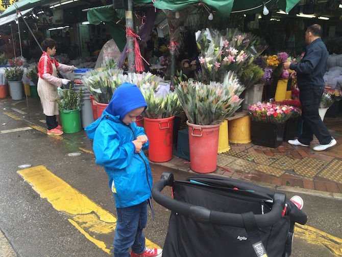 image - ned atflower market hong kong
