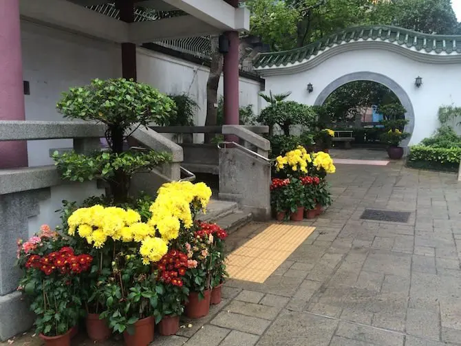 image - yuen po bird gardens flowers