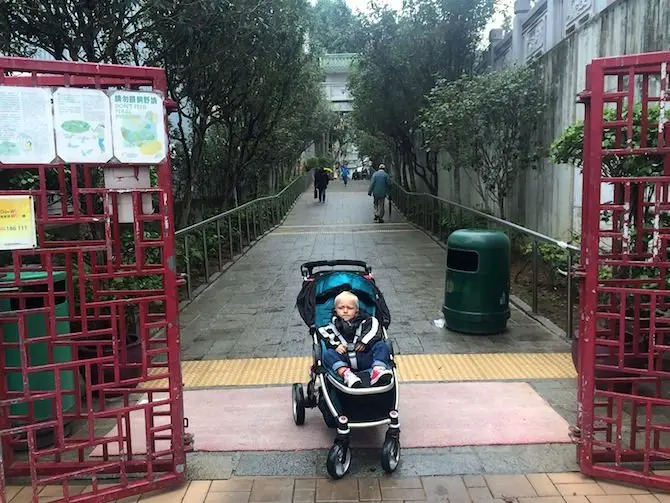 image - yuen po bird gardens red gates