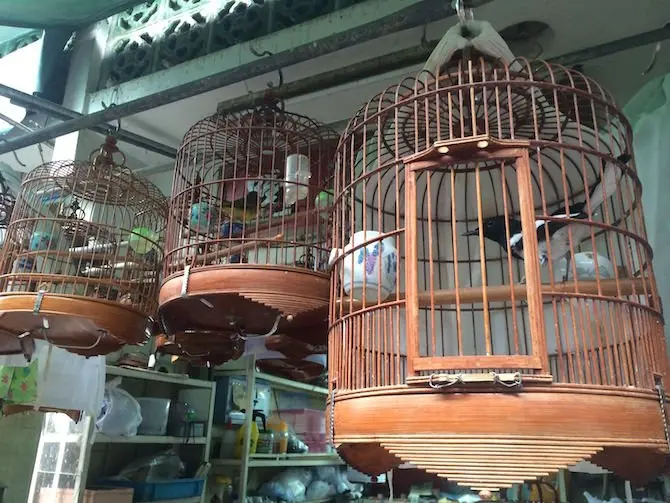 image - yuen po bird gardens timber cages