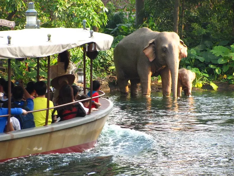jungle river cruise at hong kong disneyland