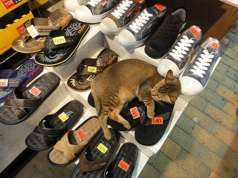 temple street night market shoe shops by kent wang 