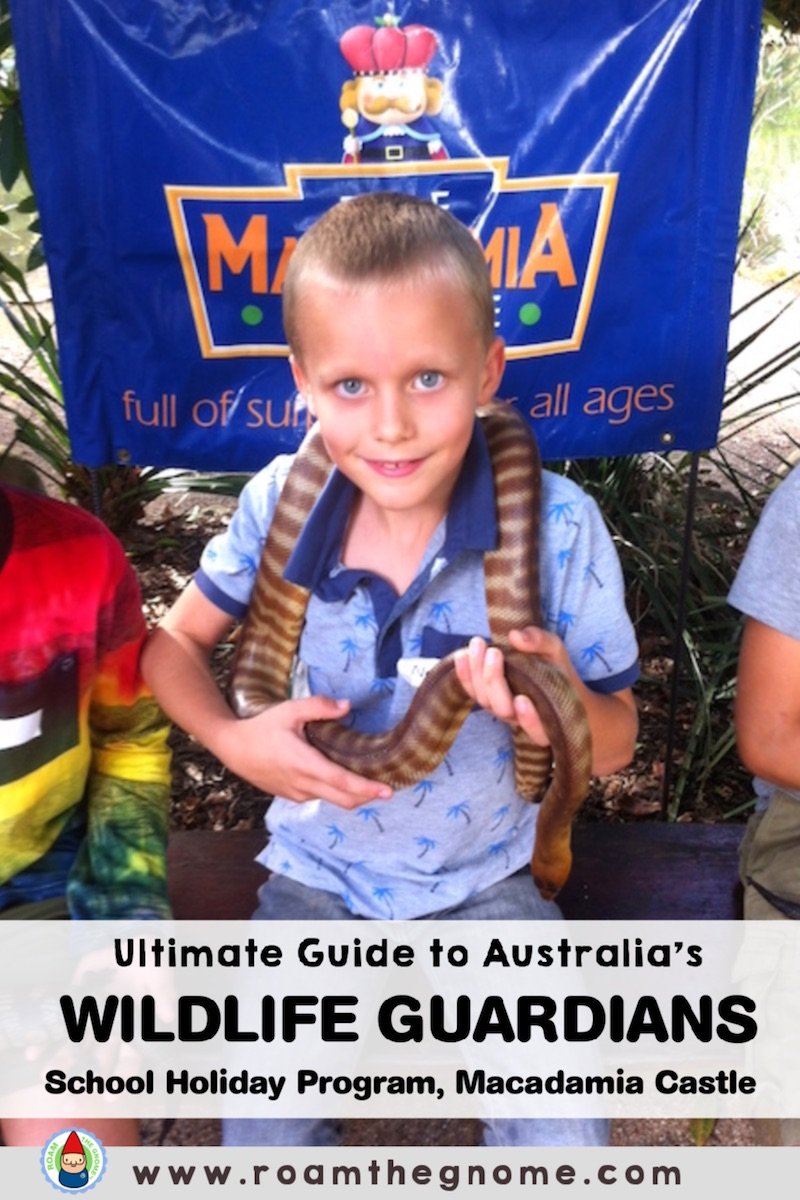 PIN the macadamia castle wildlife guardians program 800