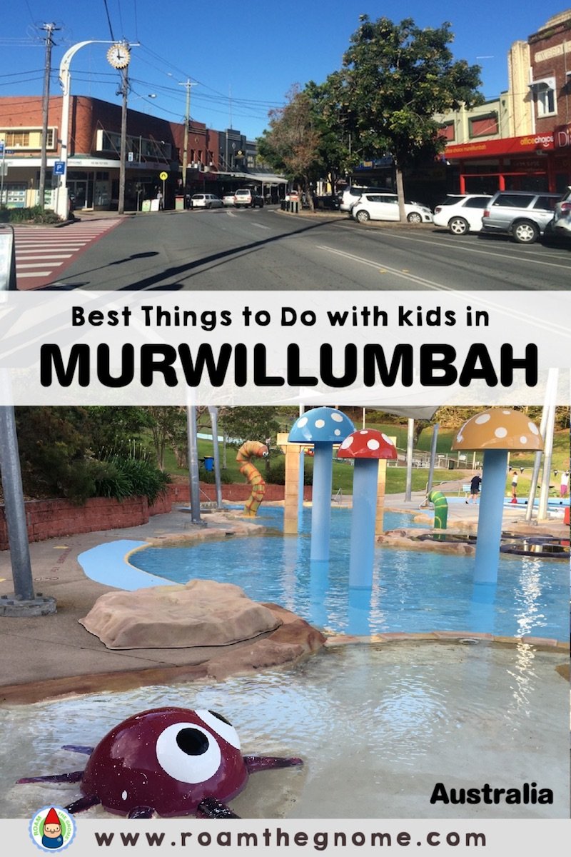 PIN things to do in murwillumbah 800