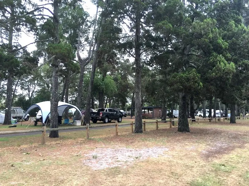 brunswick heads camping at the terrace reserve pic