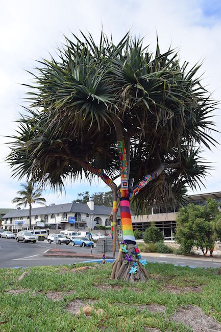 image - byron bay library yarn bomb tree