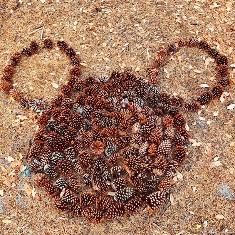 image - chip and dale campfire grounds pinecone mickey by jess R TA