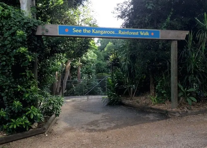 macadamia-castle-byron-bay-kangaroo-walk