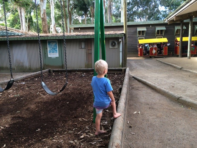 macadamia castle swings