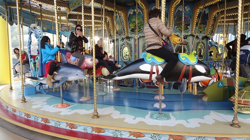 ocean park carousel pic by martin lewison flickr