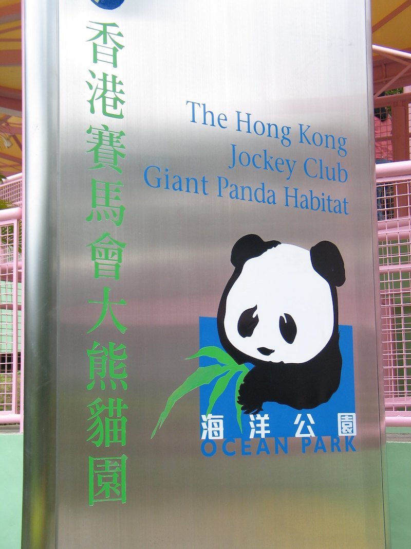 the hong kong giant panda habitat