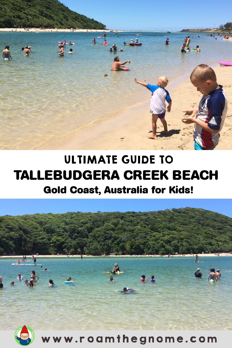 PIN tallebudgera beach kids