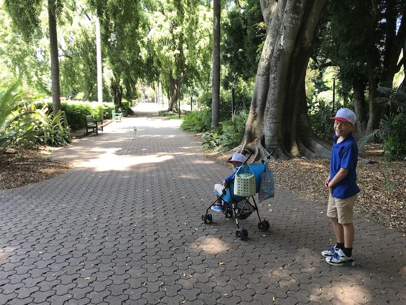 how to get to brisbane botanic garden playground pic