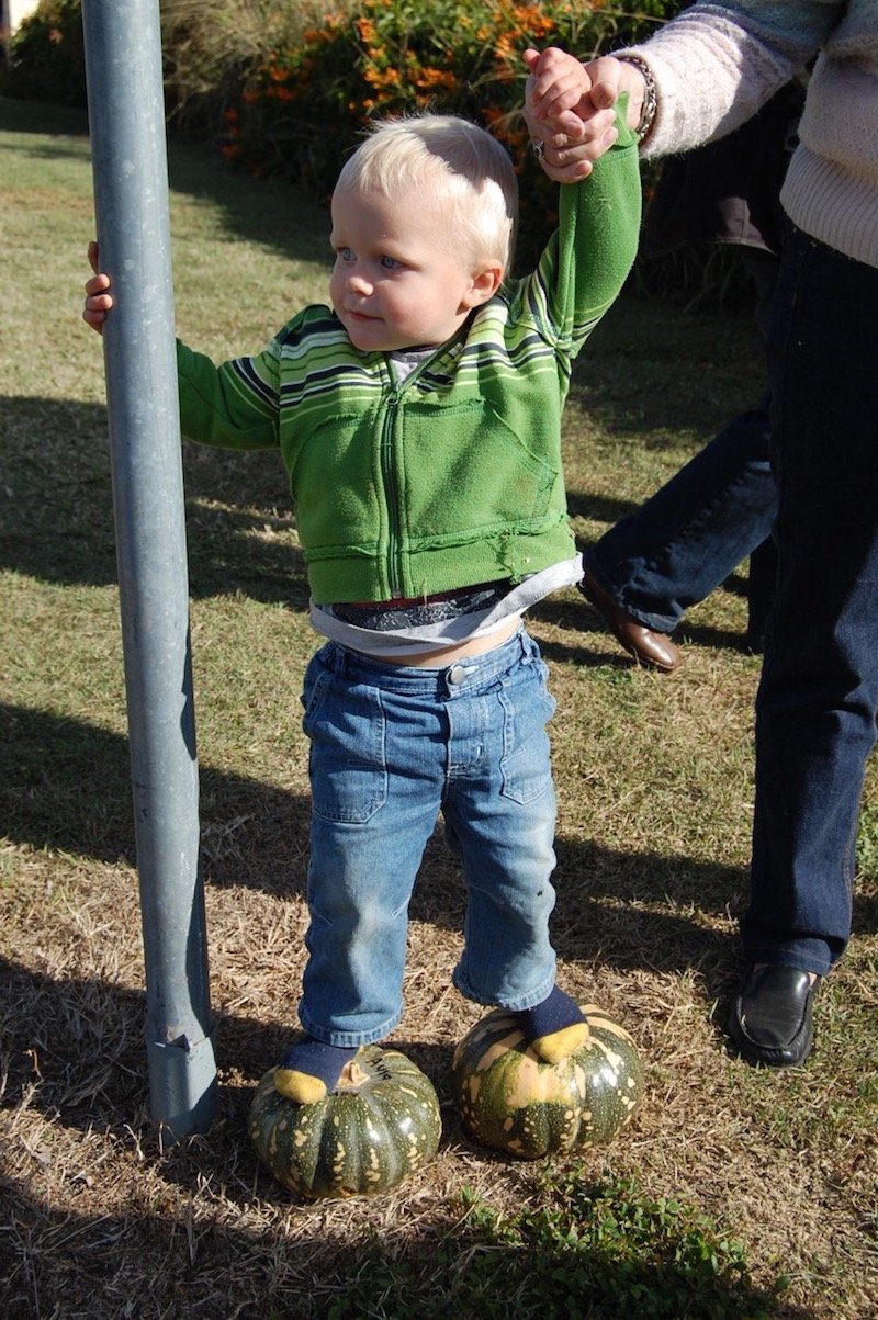 photo - goomeri pumpkin festival Ned