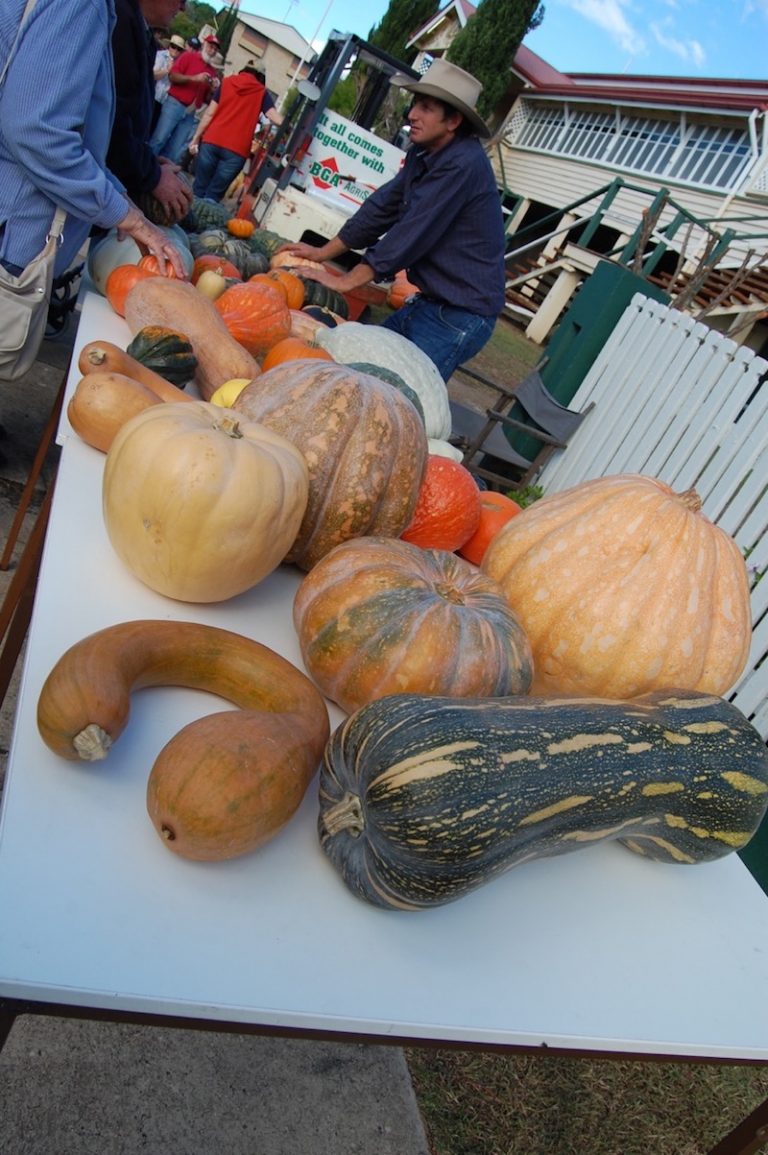 GOOMERI PUMPKIN FESTIVAL EVERYTHING YOU NEED TO KNOW
