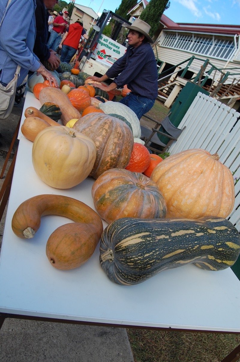 photo - goomeri pumpkin festival display