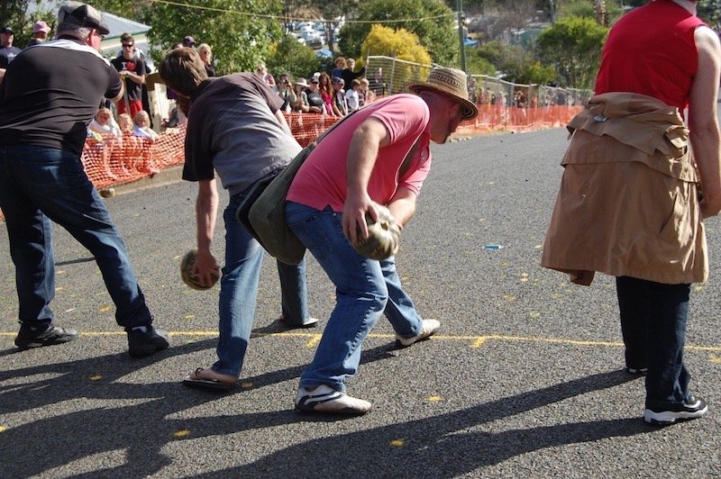 photo - goomeri pumpkin festival ready set go