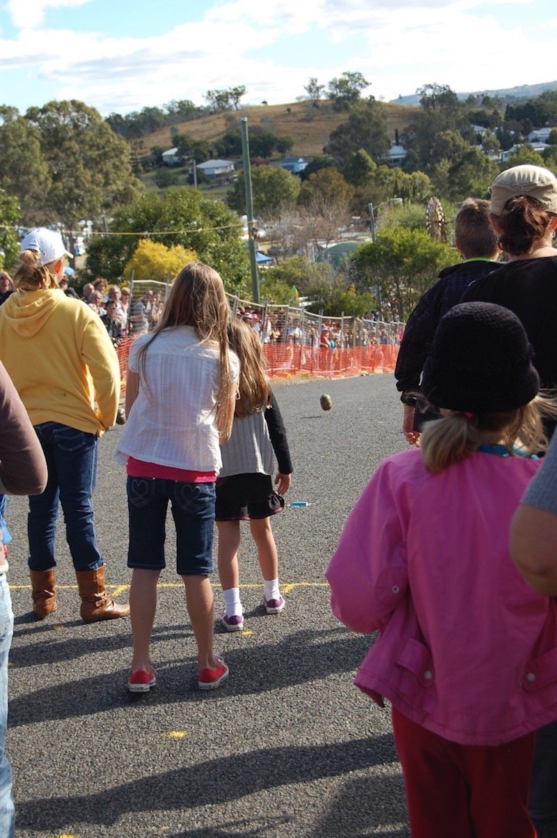 photo - goomeri pumpkin festival roll the pumpkin race