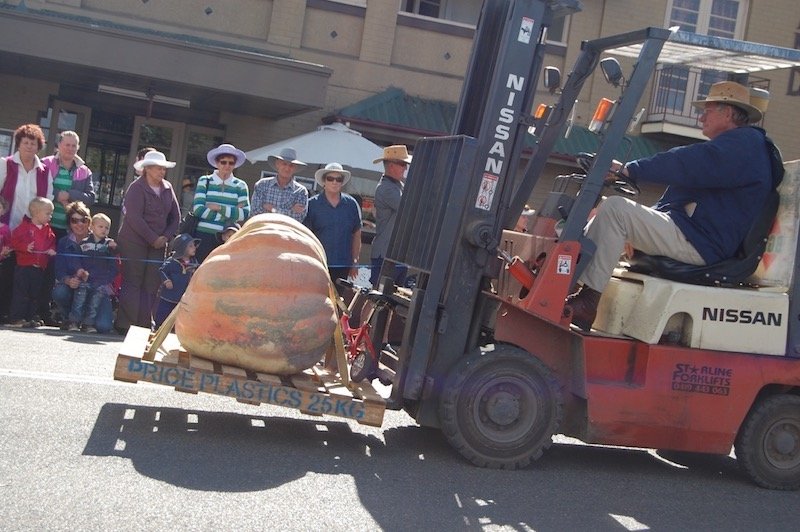 photo - goomeri pumpkin festival winner biggest pumpkin