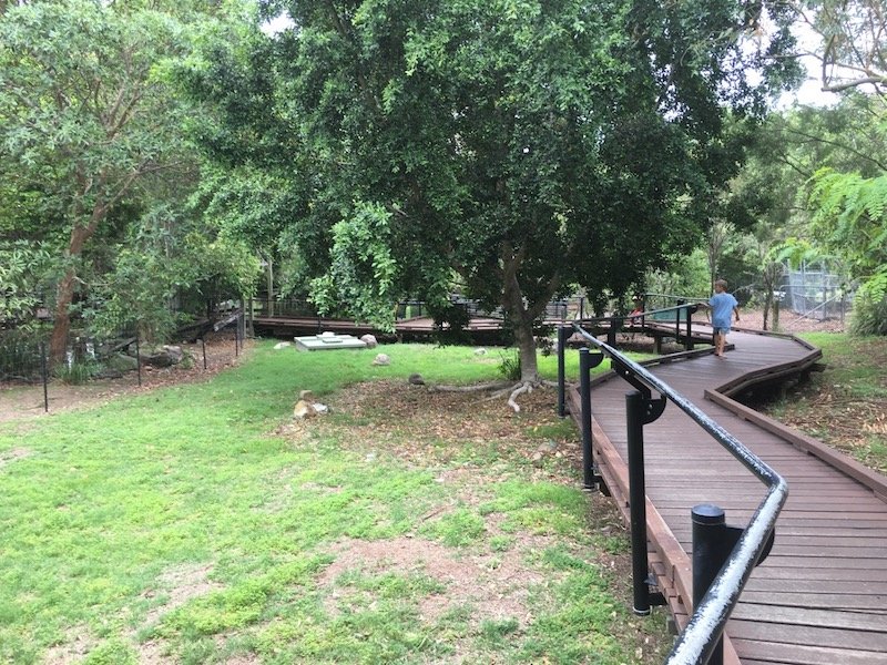 photo - ipswich nature centre boardwalks