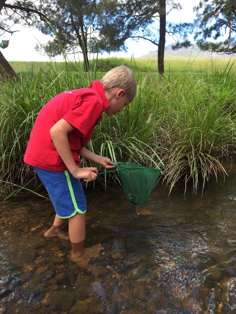 photo - lillydale farmstay brisbane fishing with nets
