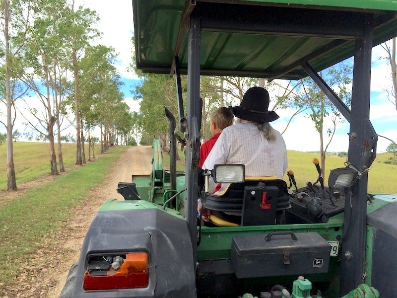 photo - lillydale farmstay brisbane tractor ride