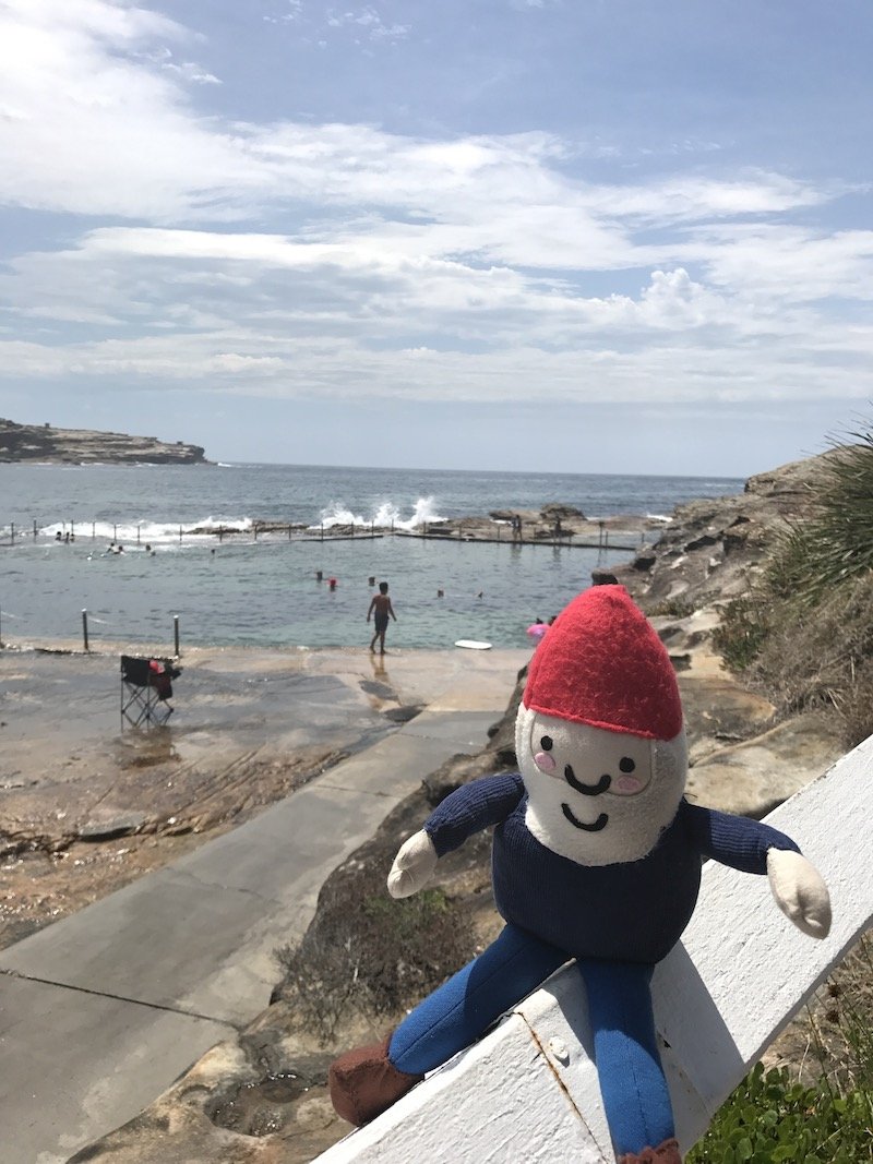 photo - malabar rock pool sydney