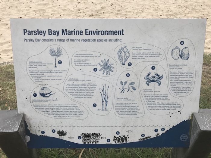 PARSLEY BAY BEACH SYDNEY ALL YOU NEED TO KNOW GUIDE