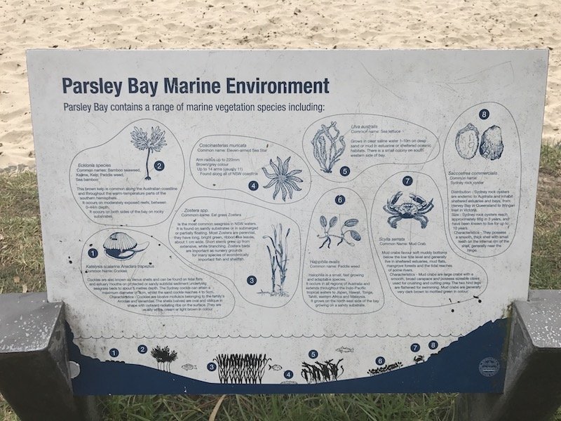 photo - parsley bay map