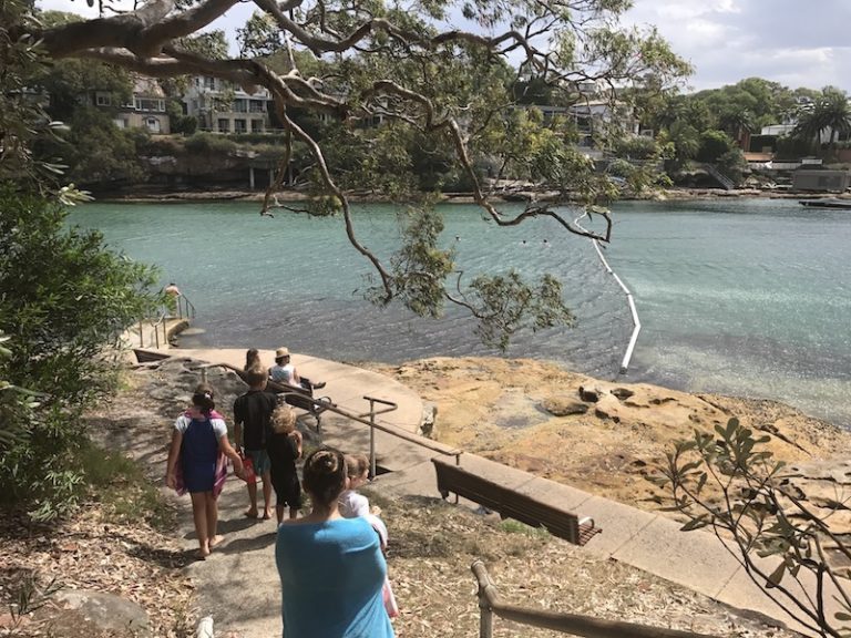 PARSLEY BAY BEACH SYDNEY ALL YOU NEED TO KNOW GUIDE