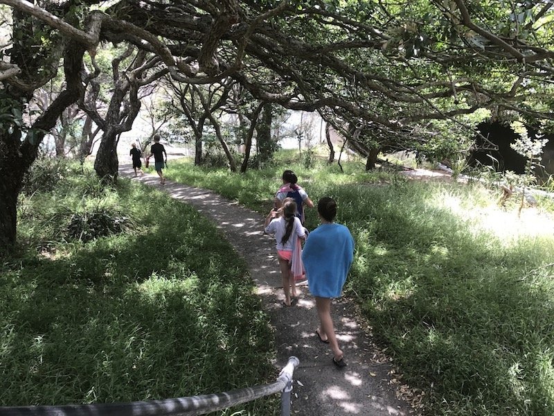 photo - parsley bay walk entrance through bush