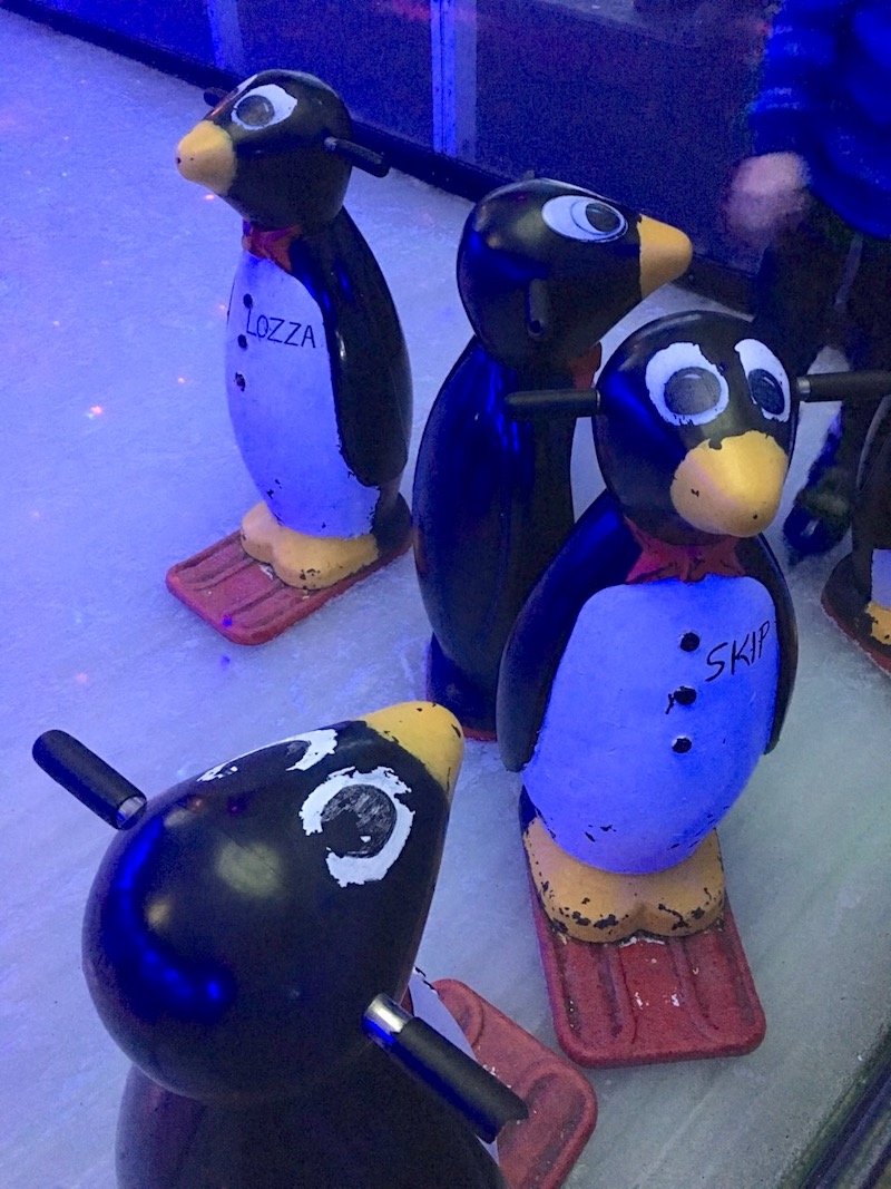 photo - planet chill ice skating rink penguins
