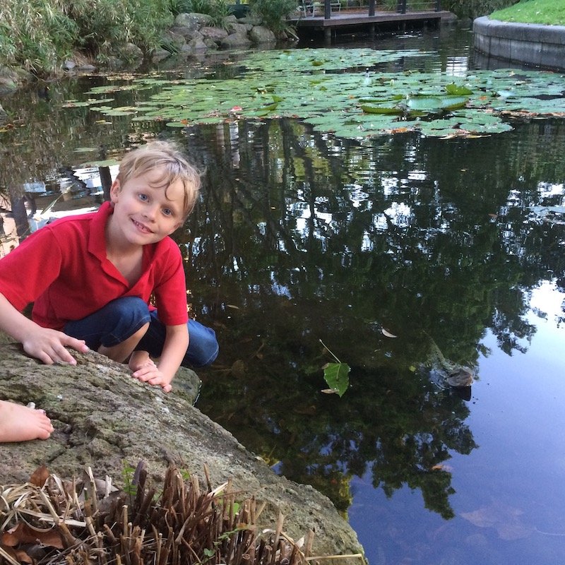 picnic island green playground lake pic