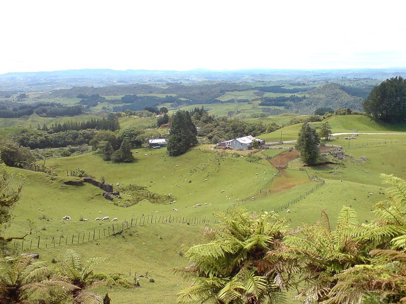 800px-Farming_Country_In_Waitomo_Area